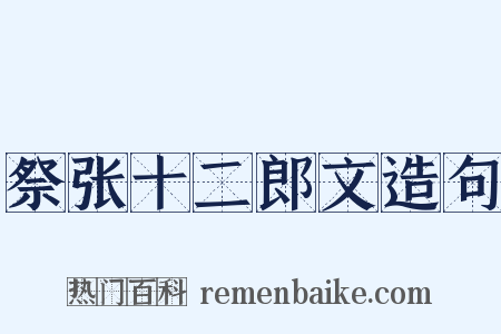 祭张十二郎文造句是什么意思的图片